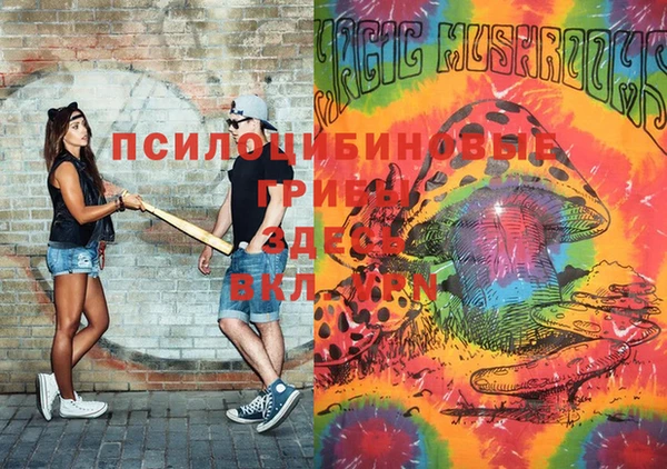 амф Алзамай