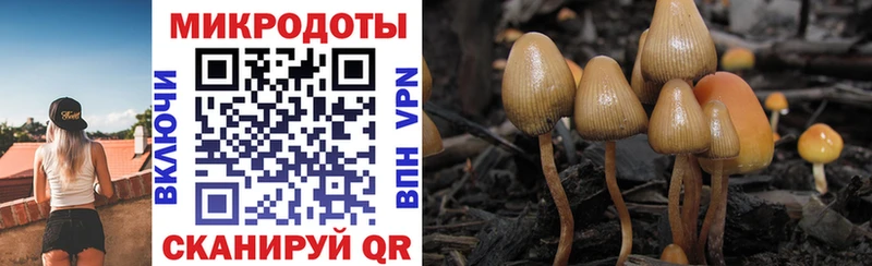 Галлюциногенные грибы мухоморы  мега ссылка  Пролетарск 